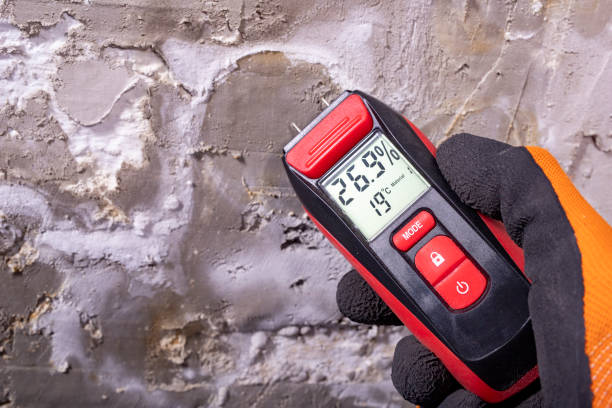 Best Commercial Mold Remediation in Portland, IN